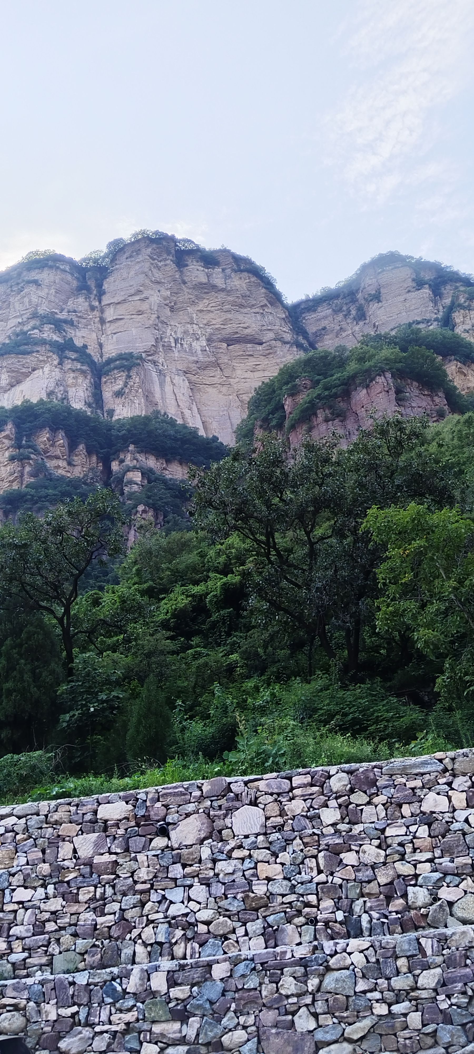 李晓